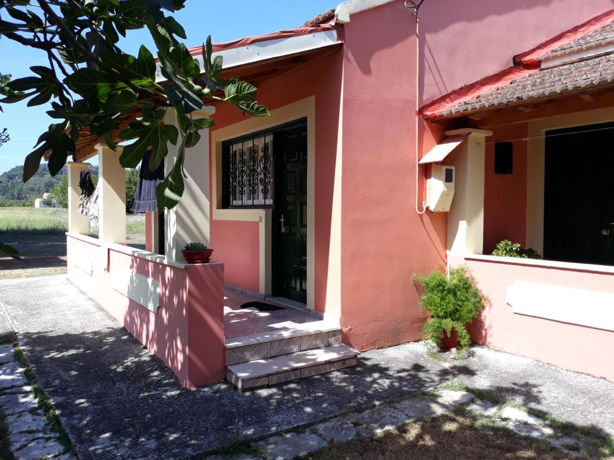 Aggeliki Apartments Sidari  Exterior photo